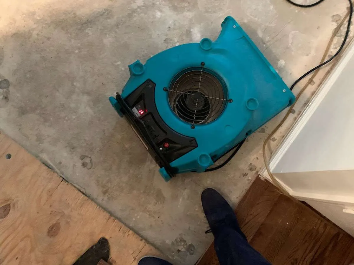 Air mover drying subfloor during Commercial Water Damage Restoration in Taylors